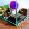 Our Fave Aquarium Decoration, Resin Tunnel Hideout for Small Fish and Shrimp view 4