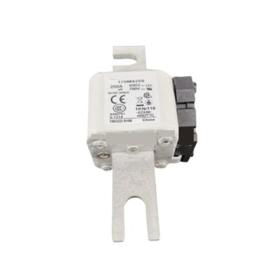 EGTDSFGJA Fuse 170M4259