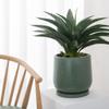 Plant Pot Saucer for Indoor and Outdoor Use, Dark Green, 30 cm view 4