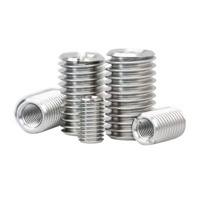Reducer Sleeve Nuts, 10-Piece Set, M2–M16, 304 Stainless Steel, Internal/External Thread Insert (M3, M5 × 10)