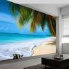 Ocean Beach Coconut Palms Photo Wallpaper 350 x 256 cm view 1