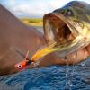 Fly Fishing Lures with Barbed Hooks for Bass view 2