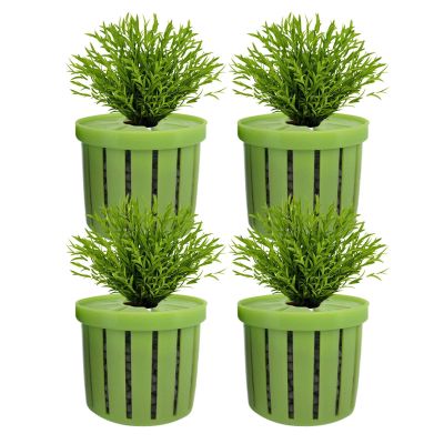 Aquarium Plant Holder for Hydroponic Water Plants