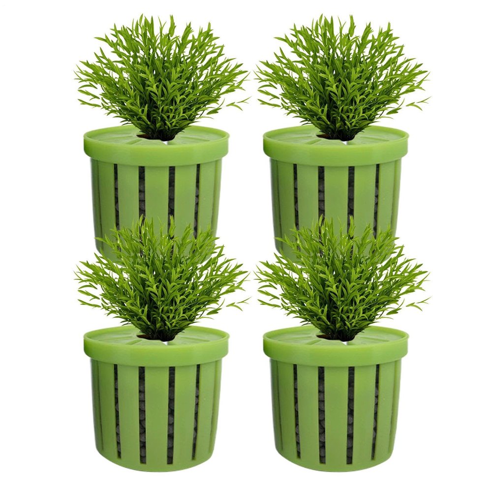 Aquarium Plant Holder for Hydroponic Water Plants