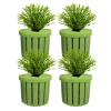 Aquarium Plant Holder for Hydroponic Water Plants view 1