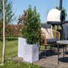 Capi Europe Rib NL Square Planter, 40 x 40, Beige, Indoor and Outdoor, Plastic, KBER903 view 3