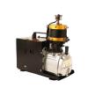 VChics 300-Bar Electric High-Pressure Air Pump for Diving (E2) view 1