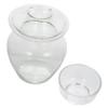 STOBAZA Kitchen Pickle Jar, Glass, Transparent view 1