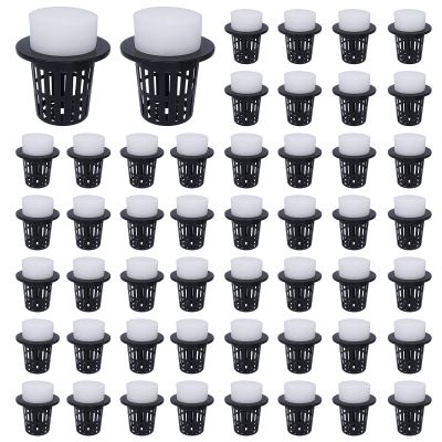 Generic Net Pots for Hydroponic Containers