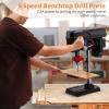 8-Inch Benchtop Drill Press, 2.5 A, 5-Speed, 0–45° Tilt view 2