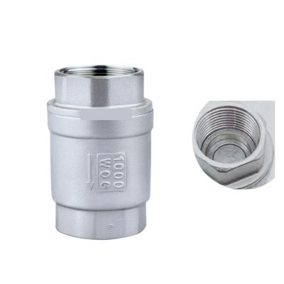 1-Piece BSPT 1-1/4-Inch SS304 Stainless Steel Check Valve, 1000 WOG, Threaded In-Line Spring Vertical Control Tool