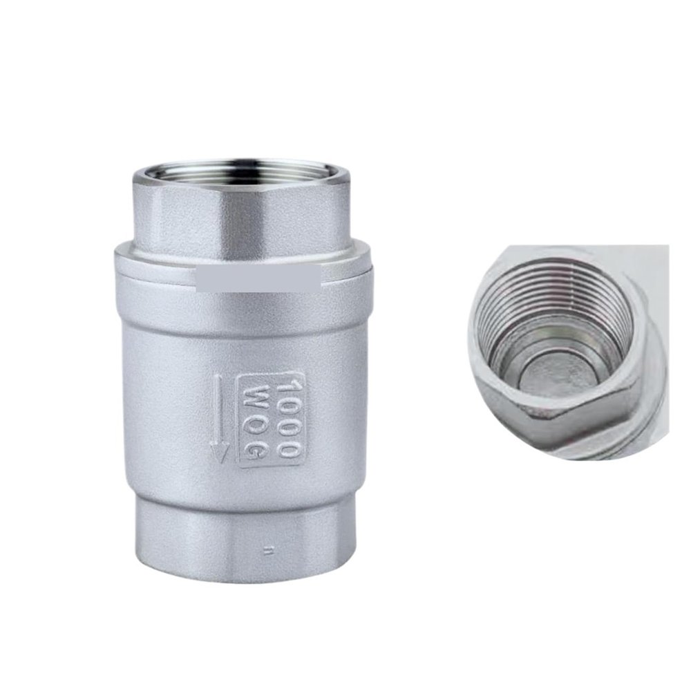 1-Piece BSPT 1-1/4-Inch SS304 Stainless Steel Check Valve, 1000 WOG, Threaded In-Line Spring Vertical Control Tool