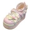Women's Lolita Mary Jane Shoes, Gothic Round Toe, Chunky Platform Heel view 1