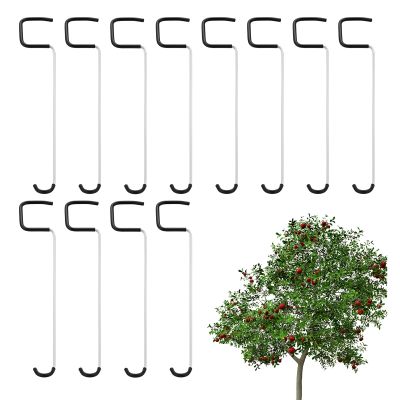 Weather-Resistant Metal Fruit Tree Branch Spreader