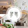 Skull Decoration for Home, Resin Sculpture in a Hidden Pose As view 4
