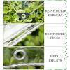 Transparent PVC Tarp Sidewall with 2 Zippers, 6 x 2.8 m view 3