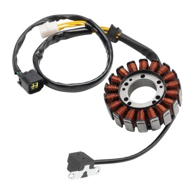 Motorcycle Stator Generator Magneto Coil for DRZ 400 ES SM 2000–2024