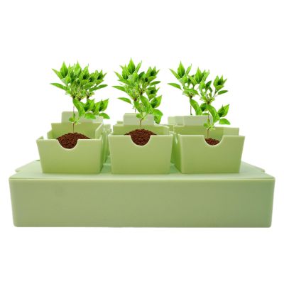 Plant Germination Trays with Handles