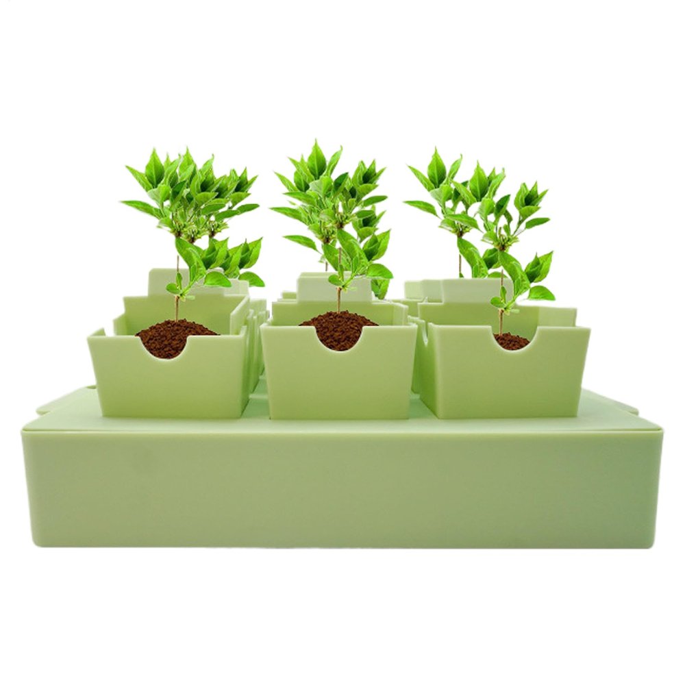Plant Germination Trays with Handles
