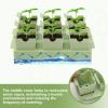 Plant Germination Trays with Handles view 3