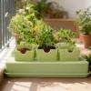 Plant Germination Trays with Handles view 4