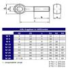 DIN 444 Eye Bolts, A2 V2A Stainless Steel, Gate Hinge Strap (M6 x 40, 10 pcs.) view 3