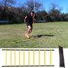 Soccer Agility Ladder, Quick-Setup Fitness Equipment with Carrying Bag view 3