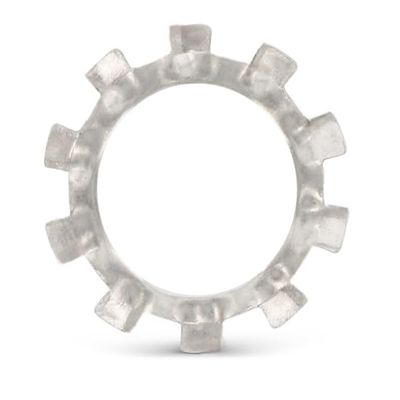 Premium V2A External-Tooth Lock Washers, Type A (25 Pieces, M16)