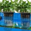 Aizuoni Pond Plant Baskets for Hydroponics and Propagation view 3