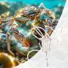 Crab Traps for Fishing Rods, Stainless Steel Trap with 8 Loops view 3