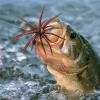 Realistic Soft Floating Lure for Perch Fishing view 3