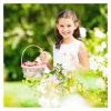Rattan Picnic and Flower Basket, Dark Coffee view 4