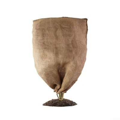 Winter Frost Protection Plant Cover with Zipper and Drawstring, Jute, 60 x 80 cm
