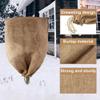 Winter Frost Protection Plant Cover with Zipper and Drawstring, Jute, 60 x 80 cm view 2