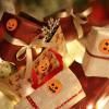 Pumpkin Stickers, 500 Count, Cute Party Stickers with 8 Designs view 2
