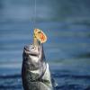 Spinnerbait with Treble Hook for Trout, Crappie, Bluegill, Salmon and Cod view 2