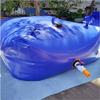 Tear-Resistant Collapsible Water Storage Bladder, 4,000 L view 1