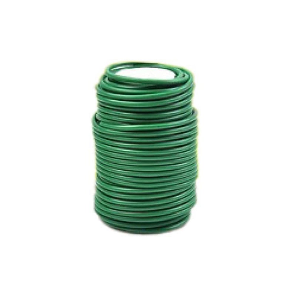 Reusable, Sturdy Plant Ties - Soft Green Garden Wire for Tomatoes, Roses, Climbing Plants and Houseplants, Cuttable (3 mm, 26.24 ft/8 m, Green)