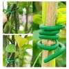 Reusable, Sturdy Plant Ties - Soft Green Garden Wire for Tomatoes, Roses, Climbing Plants and Houseplants, Cuttable (3 mm, 26.24 ft/8 m, Green) view 4