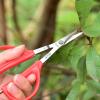 Grape Pruning Shears, 2-in-1 Fruit Tweezers and Scissors view 2
