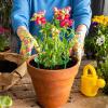 Generic 3-Leg Flower Stake Drip Irrigation Ring view 2