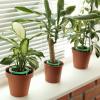 Generic 3-Leg Flower Stake Drip Irrigation Ring view 3