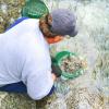 Gold Panning Sieve for Metal Detector Prospecting view 2