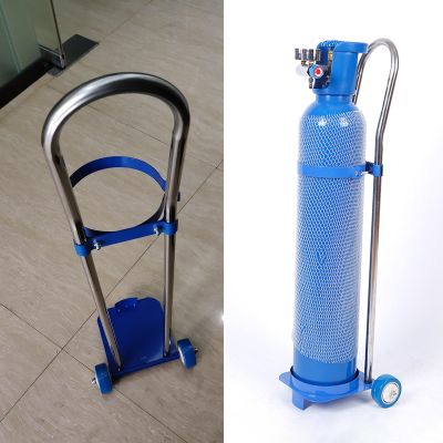 Portable Oxygen Cylinder Rack with Wheels, Medical Oxygen Cylinder Cart, Holds 1 Oxygen/Acetylene Cylinder, 110 cm High, for Home and Healthcare Use