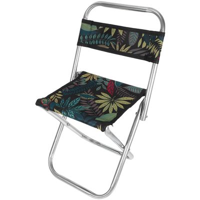 Anneome Lightweight Folding Camping Chair with Backrest