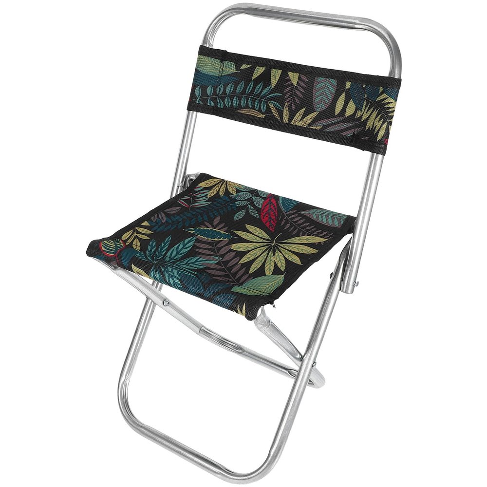 Anneome Lightweight Folding Camping Chair with Backrest