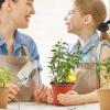Self-Watering Plant Insert, Long-Lasting Terracotta Watering Stake view 2