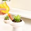 Self-Watering Plant Insert, Long-Lasting Terracotta Watering Stake view 3