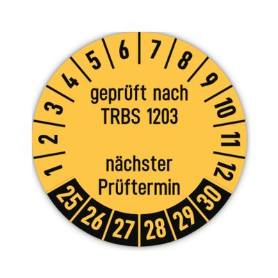 Inspection Stickers, 30 mm, 15-Pack, Yellow, 2025–2030