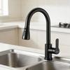 Black Kitchen Faucet with Pull-Down Spray, 3 Modes view 3